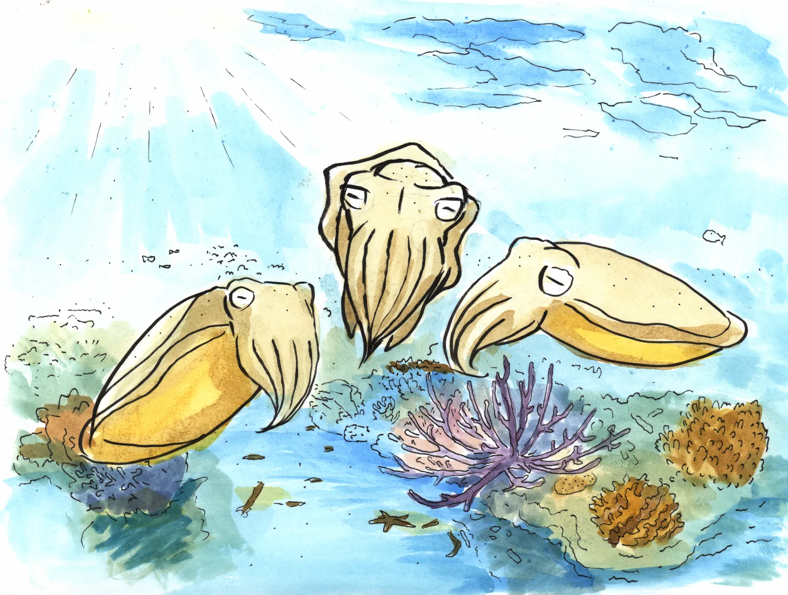 Three cuttlefish hover over a sunlit coral reef in shallow blue water.