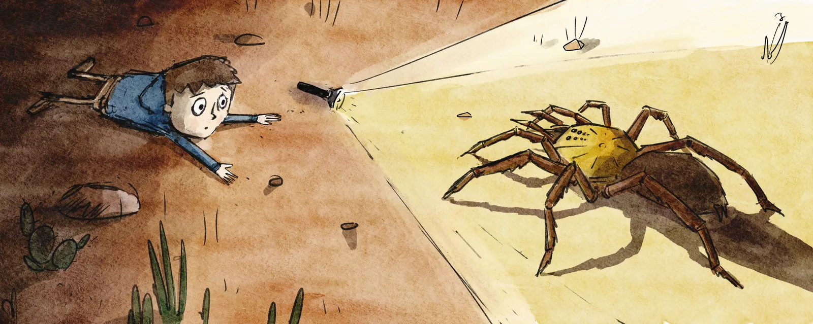 A wide nighttime scene: a child lies on the ground shining a flashlight on a large tarantula.