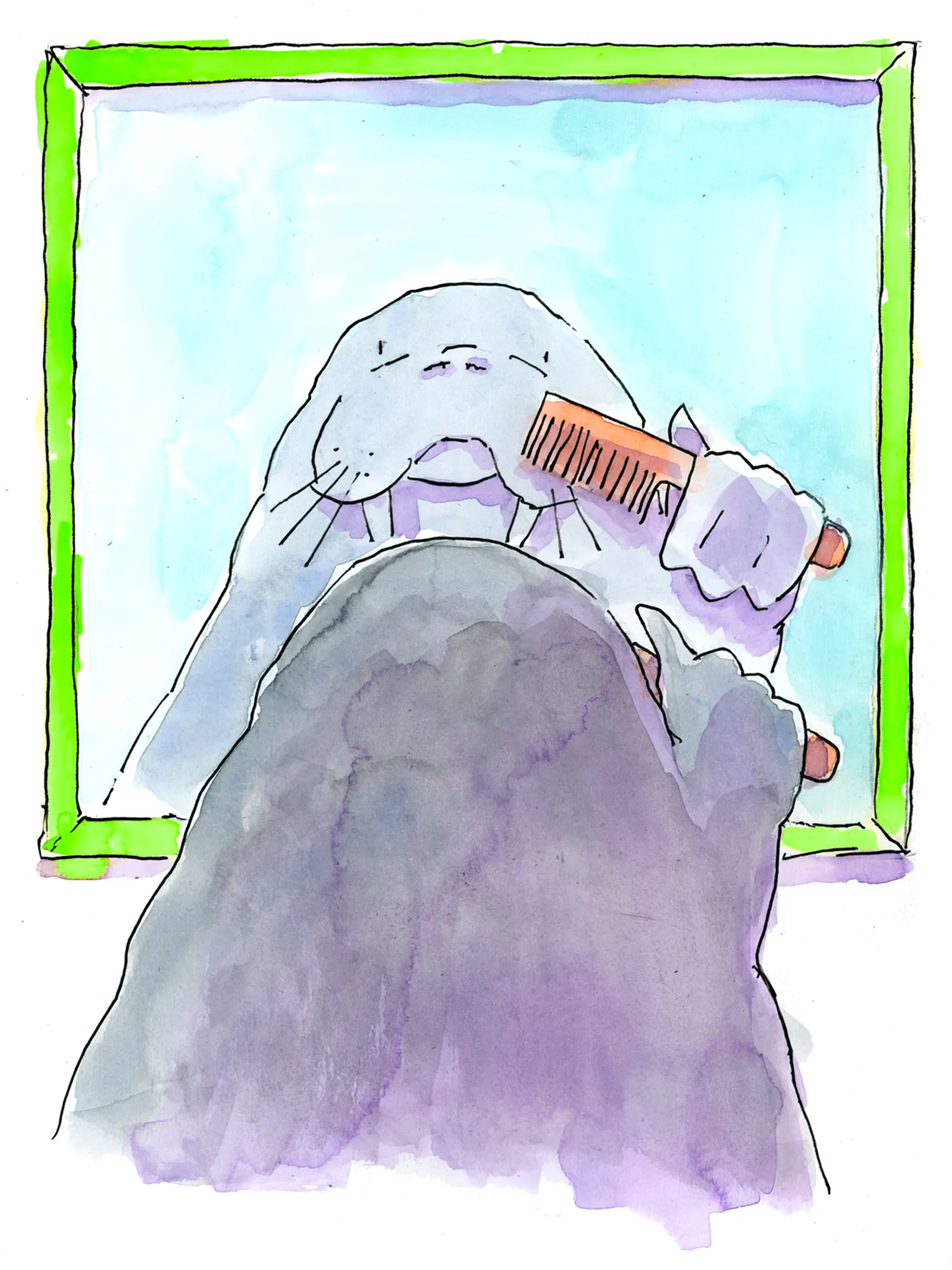 A walrus combs its long whiskers in front of a green-framed mirror, seen from behind, from Lucy Walrus's Mystery Box.